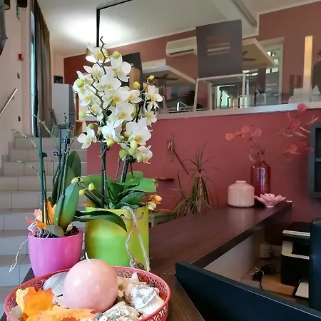 Rooms&apartments Danci